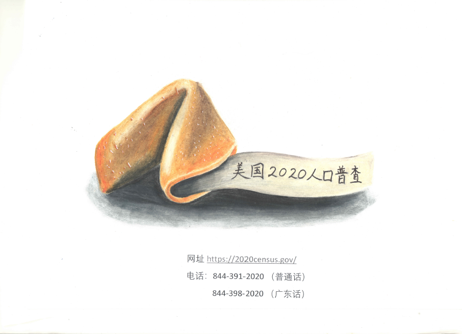 2020人口普查宣传画大赛获奖名单